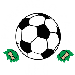 Springfield Park JFC badge